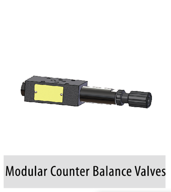 MSCV